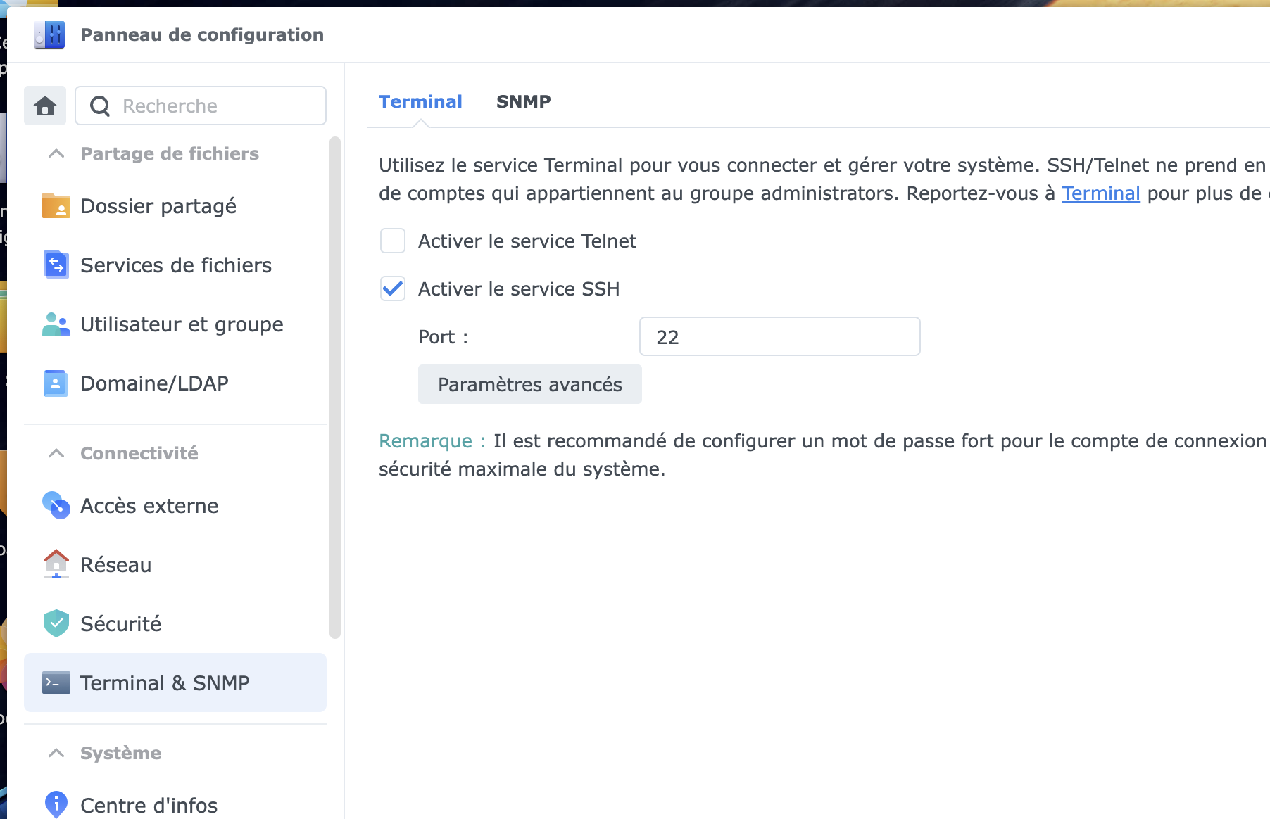 Capture d'écran de l'interface utilisateur de Terminal & SNMP, la case Activer le service SSH est cochée